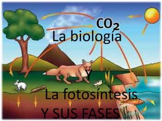    La biología              Y   La fotosíntesis Y SUS FASES 