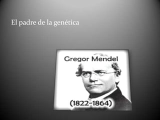 El padre de la genética