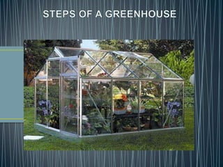 STEPS OF A GREENHOUSE 