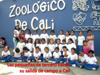 Las pequeñas de tercero hacen su salida de campo a Cali