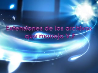 Extensiones de los archivos que maneja V.F