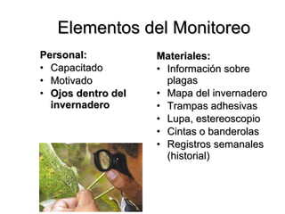 Elementos  del Monitoreo Personal: Capacitado Motivado Ojos dentro del invernadero Materiales: Información sobre plagas  Mapa  del invernadero Trampas  adhesivas Lupa,  estereoscopio Cintas o banderolas Registros  semanales (historial) 