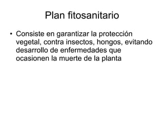 Plan fitosanitario ,[object Object]