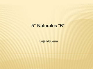 5° Naturales “B” Lujan-Guerra 