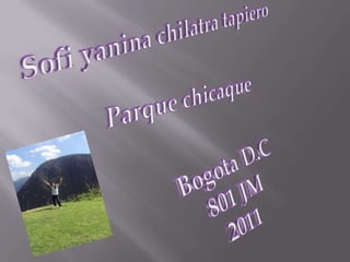 Sofiyaninachilatra tapiero Parque chicaque Bogota D.C 801 JM 2011 