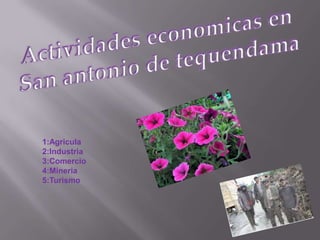 Actividades economicas en San antonio de tequendama1:Agricula2:Industria 3:Comercio4:Mineria5:Turismo