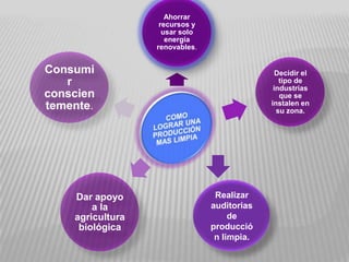 Realizar auditorias de producción limpia.