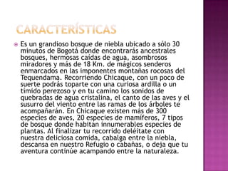  características 			Es un grandioso bosque de niebla ubicado a sólo 30 minutos de Bogotá donde encontrarás ancestrales bosques, hermosas caídas de agua, asombrosos miradores y más de 18 Km. de mágicos senderos enmarcados en las imponentes montañas rocosas del Tequendama. Recorriendo Chicaque, con un poco de suerte podrás toparte con una curiosa ardilla o un tímido perezoso y en tu camino los sonidos de quebradas de agua cristalina, el canto de las aves y el susurro del viento entre las ramas de los árboles te acompañarán. En Chicaque existen más de 300 especies de aves, 20 especies de mamíferos, 7 tipos de bosque donde habitan innumerables especies de plantas. Al finalizar tu recorrido deléitate con nuestra deliciosa comida, cabalga entre la niebla, descansa en nuestro Refugio o cabañas, o deja que tu aventura continúe acampando entre la naturaleza. 