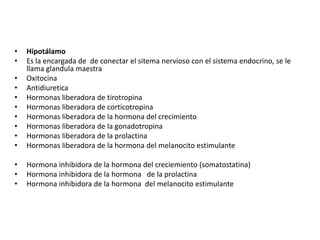 Hipotálamo Es la encargada de  de conectar el sitema nervioso con el sistema endocrino, se le llama glandula maestra OxitocinaAntidiureticaHormonas liberadora de tirotropinaHormonas liberadora de corticotropinaHormonas liberadora de la hormona del crecimientoHormonas liberadora de la gonadotropinaHormonas liberadora de la prolactinaHormonas liberadora de la hormona del melanocito estimulanteHormona inhibidora de la hormona del creciemiento (somatostatina)Hormona inhibidora de la hormona de la prolactinaHormona inhibidora de la hormona  del melanocito estimulante