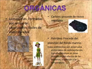 ¡ Lumaquelas: Formadas por restos de caparazones fósiles de invertebrados Carbón: procede de restos vegetales Petróleo: Procede del  plancton del fondo marino. Estos sedimentos son enterrados entre capas de sedimentación, transformándose en estas sustancias por efectos de las bacterias, la presión y la temperatura 