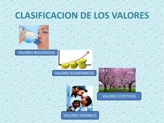 CLASIFICACION DE LOS VALORESVALORES BIOLOGICOSVALORES ECONOMICOSVALORES ESTETICOSVALORES SENSIBLES
