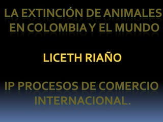 La extinción de animales  en Colombia y el mundo LICETH RIAÑO IP PROCESOS DE COMERCIO  INTERNACIONAL. 