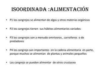 ISOORDINADA :alimentaciónP1 los cangrejos se alimentan de algas y otras materias orgánicasP2 los cangrejos tienen  sus hábitos alimentarios variados  P3 los cangrejos son a menudo omnívoros , carroñeros  o de predadoresP4 los cangrejo son importantes  en la cadena alimentaria  en parte, porque muchos se alimentan  de plantas y animales pequeñosLos cangrejo se pueden alimentar  de otros crustaceo