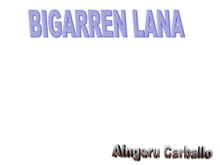 BIGARREN LANA Aingeru Carballo 