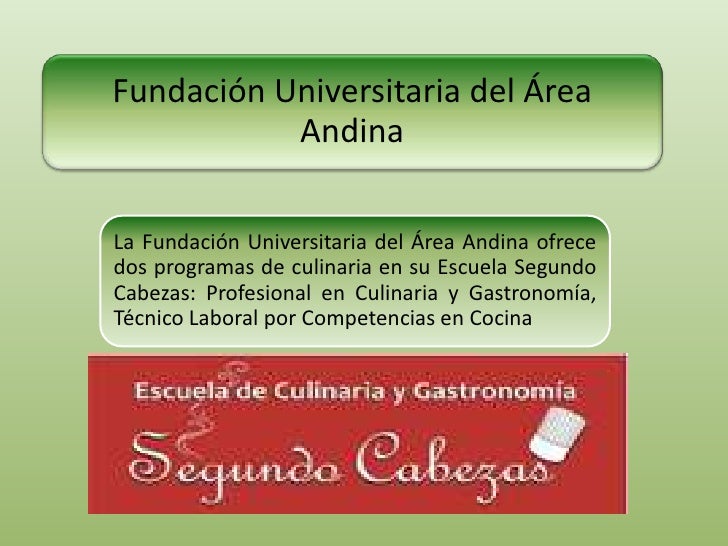Fundacion Universitaria del Area Andina