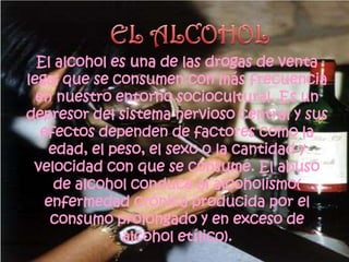 El alcohol es una de las drogas de venta
legal que se consumen con más frecuencia
  en nuestro entorno sociocultural. Es un
depresor del sistema nervioso central y sus
   efectos dependen de factores como la
    edad, el peso, el sexo o la cantidad y
 velocidad con que se consume. El abuso
     de alcohol conduce al alcoholismo(
    enfermedad crónica producida por el
     consumo prolongado y en exceso de
               alcohol etílico).
 