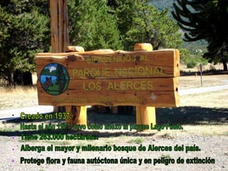 Creado en 1937. Hasta el año 1971  tuvo como anexo al parque Lago Puelo. Tiene 263.000 hectáreas. Alberga el mayor y milenario bosque de Alerces del país.  Protege flora y fauna autóctona única y en peligro de extinción 