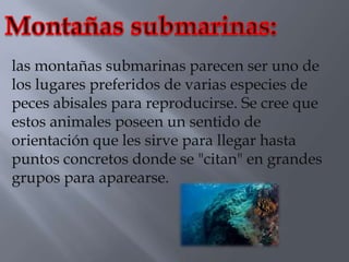 las montañas submarinas parecen ser uno de
los lugares preferidos de varias especies de
peces abisales para reproducirse. Se cree que
estos animales poseen un sentido de
orientación que les sirve para llegar hasta
puntos concretos donde se "citan" en grandes
grupos para aparearse.
 