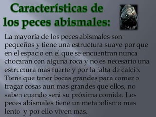 La mayoría de los peces abismales son
pequeños y tiene una estructura suave por que
en el espacio en el que se encuentran nunca
chocaran con alguna roca y no es necesario una
estructura mas fuerte y por la falta de calcio.
Tiene que tener bocas grandes para comer o
tragar cosas aun mas grandes que ellos, no
saben cuando será su próxima comida. Los
peces abismales tiene un metabolismo mas
lento y por ello viven mas.
 
