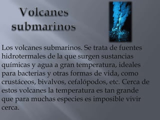 Los volcanes submarinos. Se trata de fuentes
hidrotermales de la que surgen sustancias
químicas y agua a gran temperatura, ideales
para bacterias y otras formas de vida, como
crustáceos, bivalvos, cefalópodos, etc. Cerca de
estos volcanes la temperatura es tan grande
que para muchas especies es imposible vivir
cerca.
 