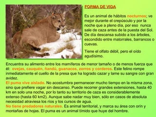 El PUMA
