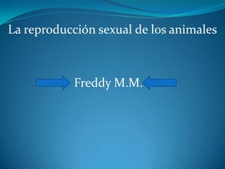 La reproducción sexual de los animales



            Freddy M.M.
 