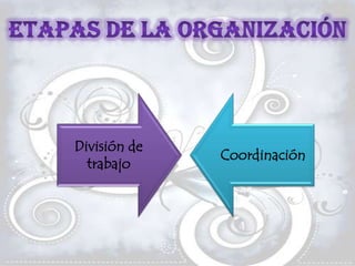 División de
              Coordinación
  trabajo
 