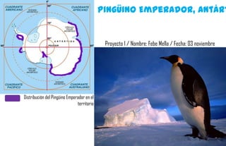 Pingüino Emperador, Antárt


                                             Proyecto 1 / Nombre: Febe Mella / Fecha: 03 noviembre




Distribución del Pingüino Emperador en el
                               territorio
 