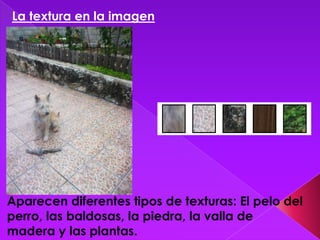 La textura en la imagen




Aparecen diferentes tipos de texturas: El pelo del
perro, las baldosas, la piedra, la valla de
madera y las plantas.
 