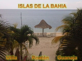 ISLAS DE LA BAHIA