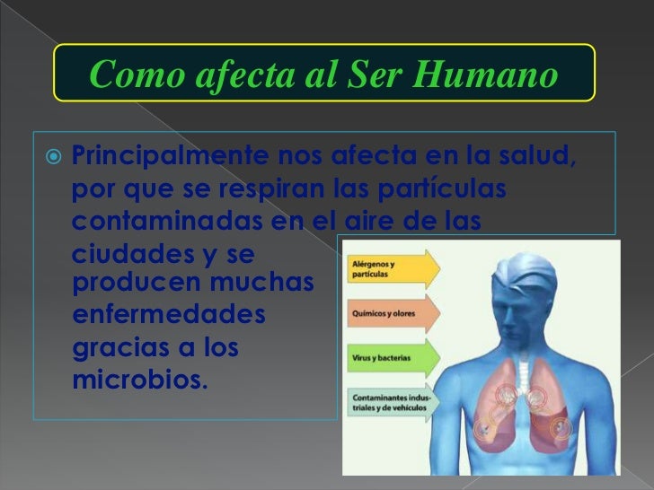 La cúrcuma para el adelgazamiento con la miel y