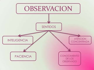 OBSERVACION

                SENTIDOS


                                   ATENCION
INTELIGENCIA                     CONCENTRADA




    PACIENCIA              CONOCIMIENTO
                              DE LOS
                            OBSERVADO
 
