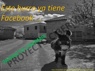 Este burro ya tiene
Facebook ...




               http://www.flickr.com/photos/upsala/3396181580/ por upsala
 