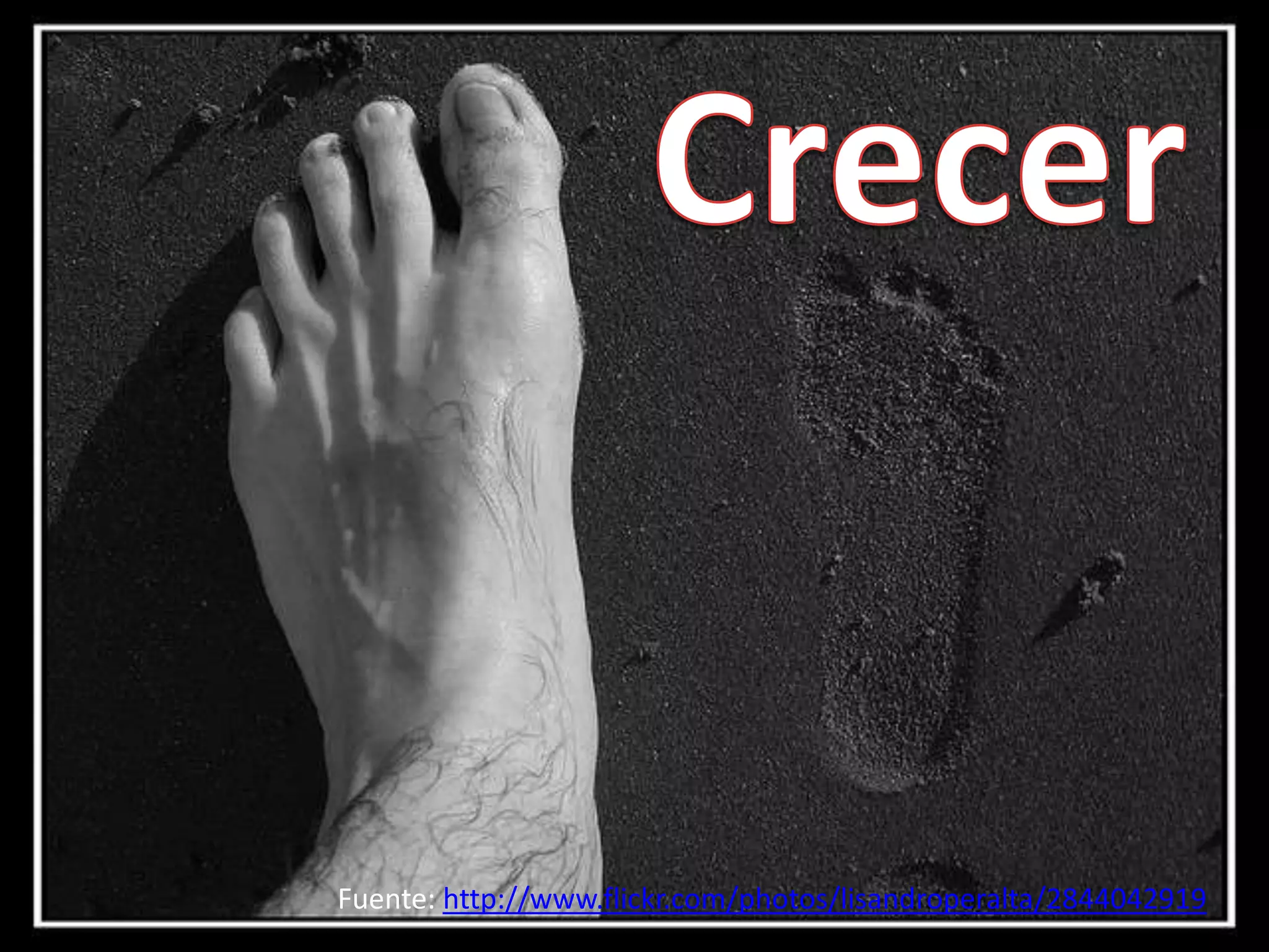 Fuente: http://www.flickr.com/photos/lisandroperalta/2844042919