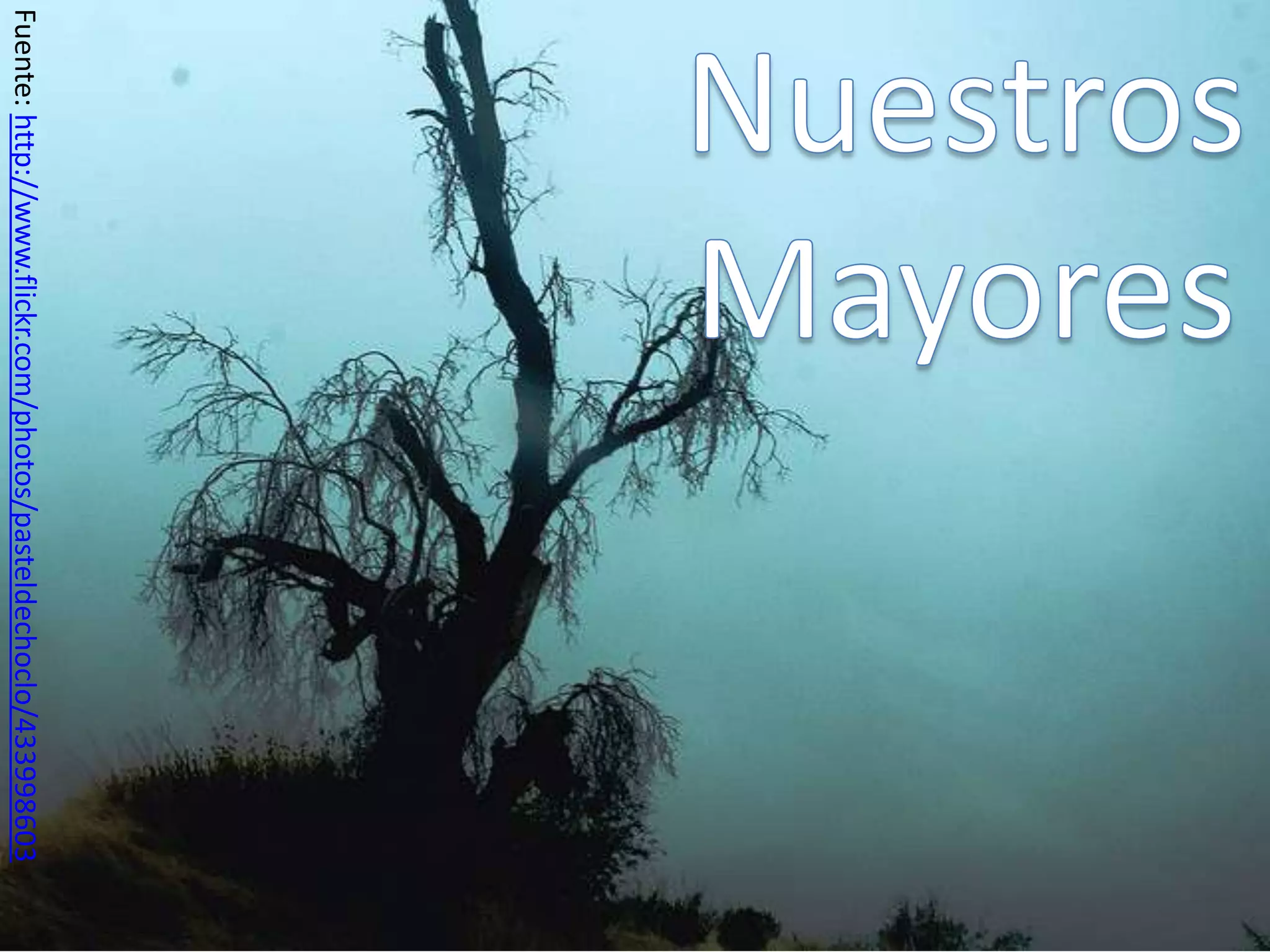 Fuente: http://www.flickr.com/photos/pasteldechoclo/433998603