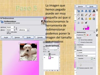 La imagen que
hemos pegado
puede ser muy
pequeña así que si
seleccionamos la
herramienta de
redimensionar
podemos poner la
imagen del tamaño
que nosotros
queramos.
 