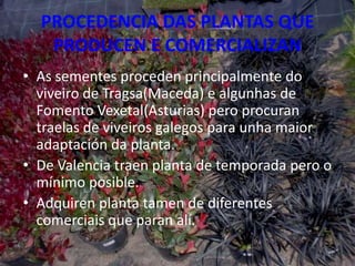 PROCEDENCIA DAS PLANTAS QUE
   PRODUCEN E COMERCIALIZAN
• As sementes proceden principalmente do
  viveiro de Tragsa(Maceda) e algunhas de
  Fomento Vexetal(Asturias) pero procuran
  traelas de viveiros galegos para unha maior
  adaptación da planta.
• De Valencia traen planta de temporada pero o
  mínimo posible.
• Adquiren planta tamen de diferentes
  comerciais que paran alí.
                                             11
 