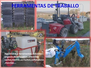 FERRAMENTAS DE TRABALLO




Algunhas das ferramentas utilizadas:
angazos,desbrozadora,diferentes
sachos,tixeiras,serruchos,solfatadoras
,macetas….
                                         12
 