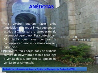 ANÉDOTAS


*No viveiro querían facer unha
ampliación e xa era a 3ª vez que pedían
axudas á Xunta para a aprobación do
invernadoiro pero non lles contestaban.
*A planta que eles compran a
comerciais en moitas ocasións ven sen
pasaporte.
*O viveiro ten épocas boas de traballo
como é de novembro a marzo pero logo
a venda decae, por eso se apoian na
venda de ornamentais.
Traballo de colocación de tepez e fentos no Mosteiro de Carboeiro(2011)   17
 