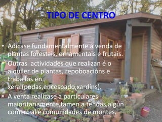 TIPO DE CENTRO

• Adícase fundamentalmente á venda de
  plantas forestais, ornamentais e frutais.
• Outras actividades que realizan é o
  alquiler de plantas, repoboacións e
  traballos en
  xeral(podas,encespado,xardíns).
• A venta realízase a particulares
  maioritariamente,tamen a tendas,algún
  comercial e comunidades de montes.          6
 