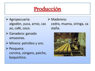 Producción
 Agropecuaria:              Maderera:
  algodón, yuca, arroz, cac cedro, muena, siringa, ca
  ao, café, coco.             staña.
 Ganadera: ganado
  amazonas.
 Minera: petróleo y oro.
 Pesquera:
  corvina, zúngaro, paiche,
  boquichico.
 