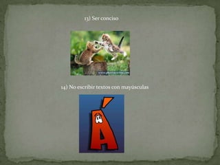 13) Ser conciso
14) No escribir textos con mayúsculas