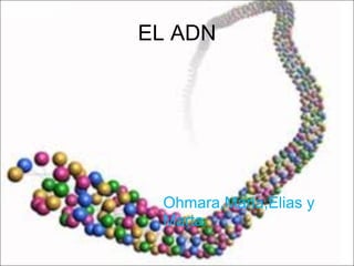 EL ADN ,[object Object]