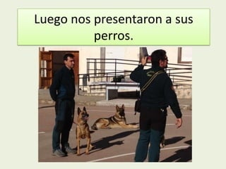 Luego nos presentaron a sus
          perros.
 