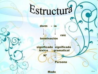 Estructura dorm  -  ía raíz  terminación significado  significado léxico  gramatical Nº  Persona  Modo  Tiempo 