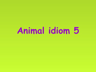 Animal idiom 5 