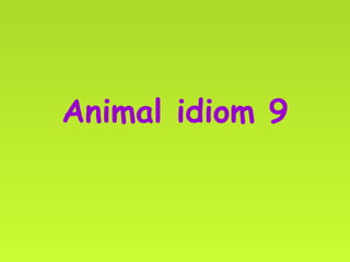 Animal idiom 9 