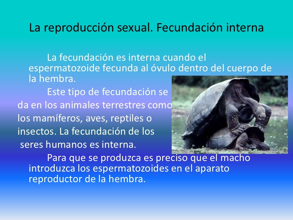 Reproduccion animal