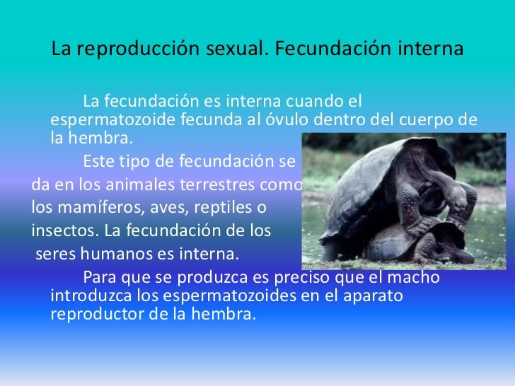 Reproduccion animal