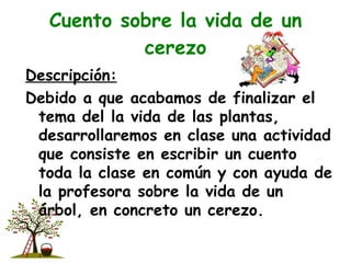 Cuento sobre la vida de un cerezo Descripción: Debido a que acabamos de finalizar el tema del la vida de las plantas, desarrollaremos en clase una actividad que consiste en escribir un cuento toda la clase en común y con ayuda de la profesora sobre la vida de un árbol, en concreto un cerezo. 